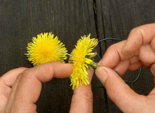 Enkelt att göra själv, en maskroskrona. (Foto www.slojdnytt.org)