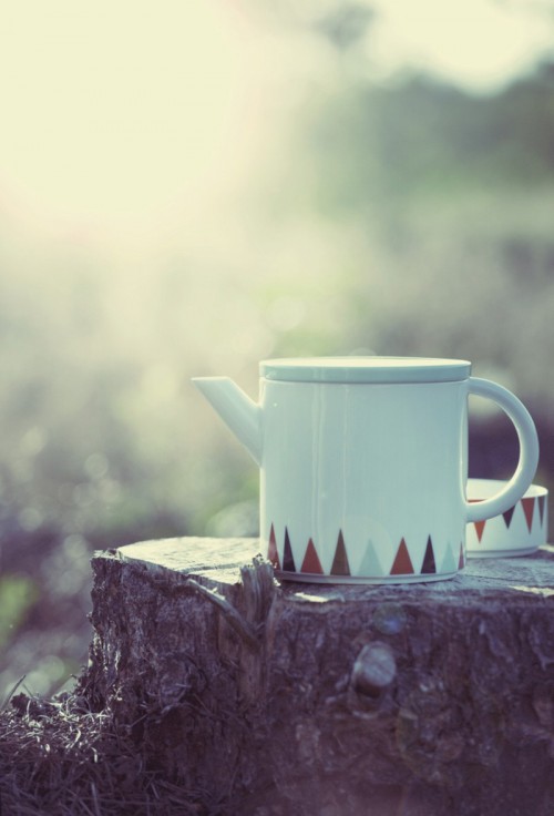 Danska Ferm Livings höst och vinternyheter fotade i skogen. Fantastiskt fint. (Foto Ferm Living)