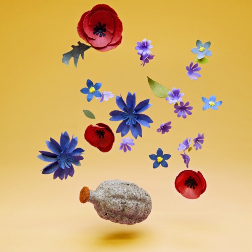 beebom, fröbomb med nektarblomning. (Foto Kabloom)