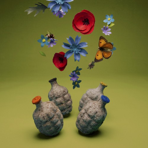 Vildblom, fröbomber från brittiska Kabloom. (Foto Kabloom)