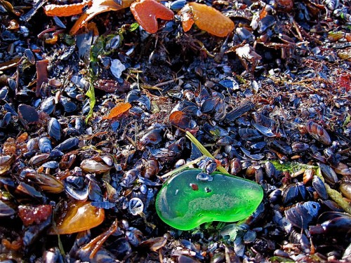 Strandfynd med potential. (Foto Maria Meissner Berg/Havsglas)